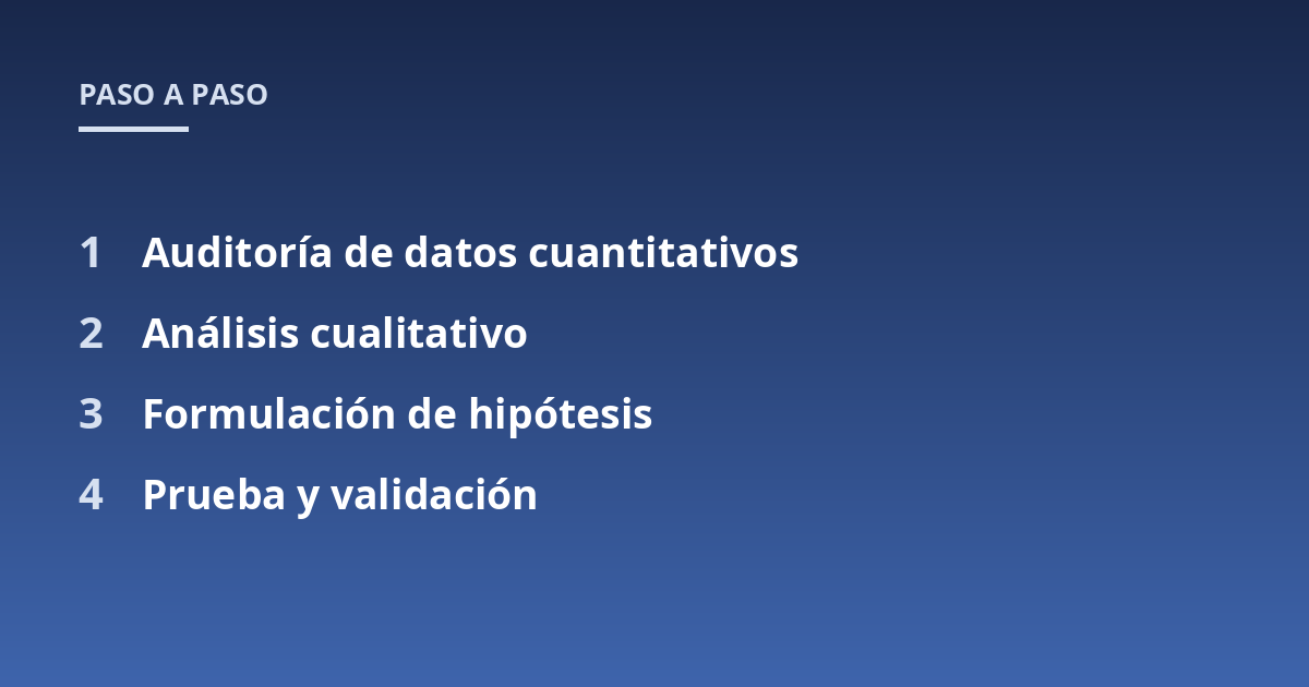 Auditoría de datos cuantitativos; Análisis cualitativo; Formulación de hipótesis; Prueba y validación