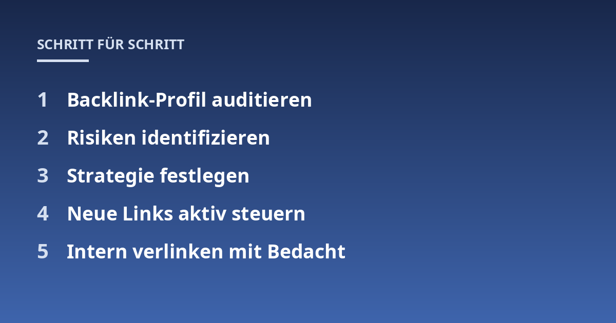 Backlink-Profil auditieren; Risiken identifizieren; Strategie festlegen; Neue Links aktiv steuern; Intern verlinken mit Bedacht
