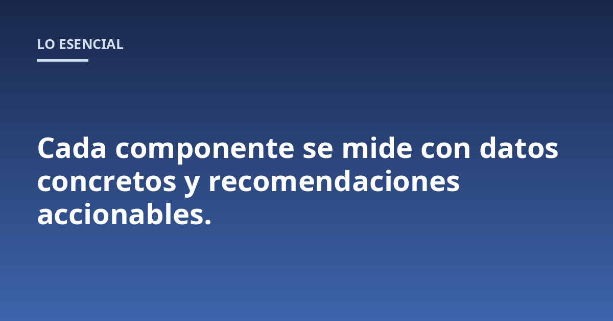 Cada componente se mide con datos concretos y recomendaciones accionables.