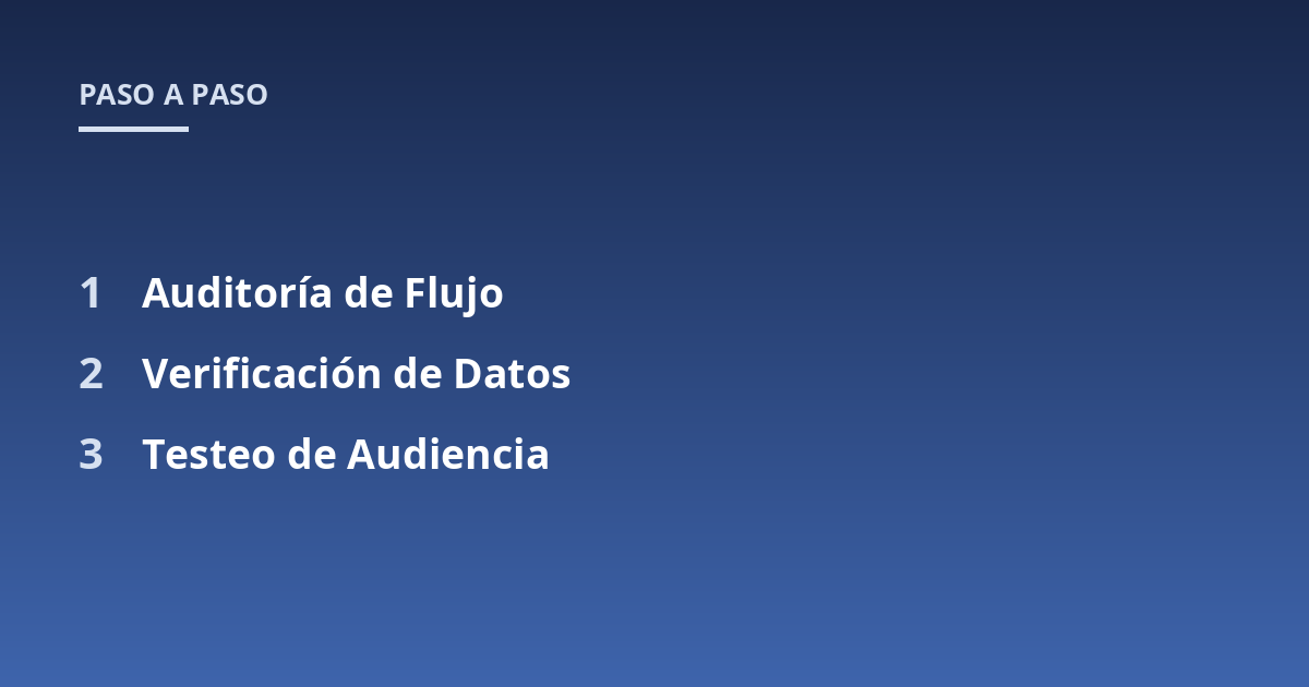 Auditoría de Flujo; Verificación de Datos; Testeo de Audiencia