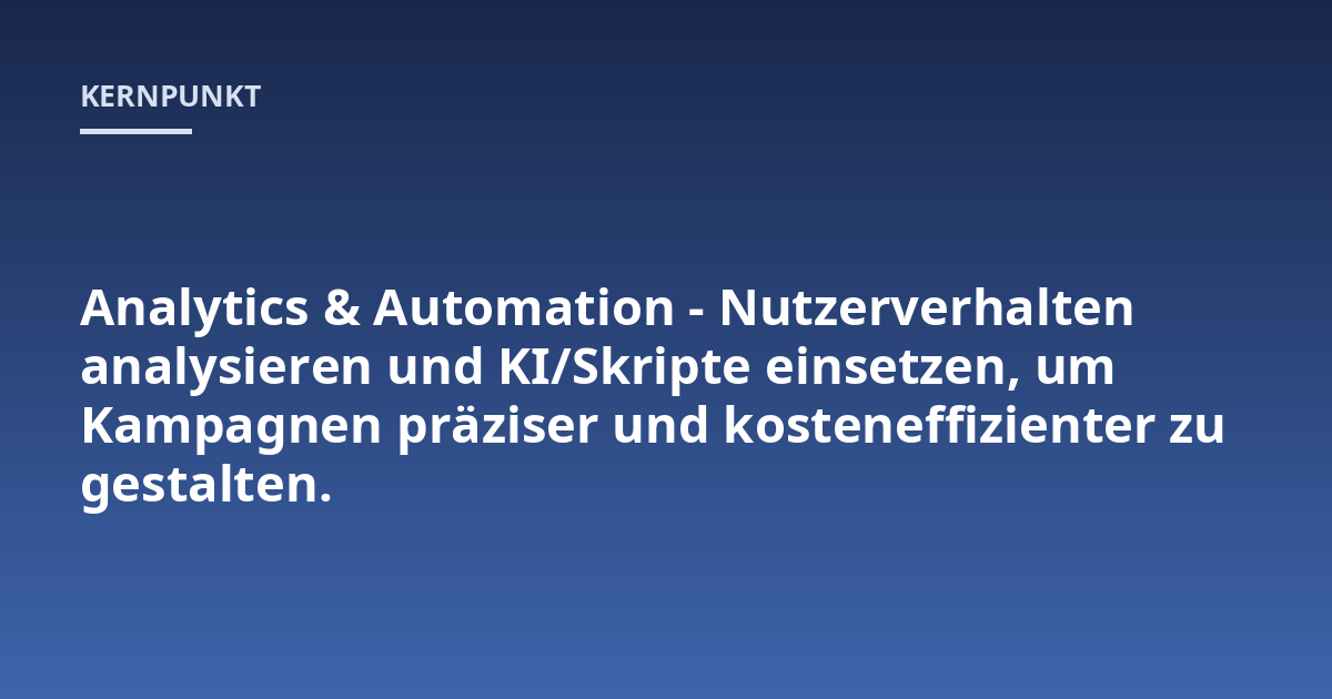 Analytics & Automation - Nutzerverhalten analysieren und KI/Skripte einsetzen, um Kampagnen präziser und kosteneffizienter zu gestalten.